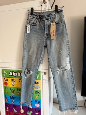 Levi's Women's Light Blue Distressed Wedgie Straight Jeans